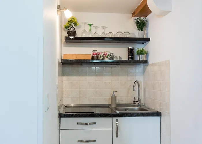 Ivana Old Town דירה